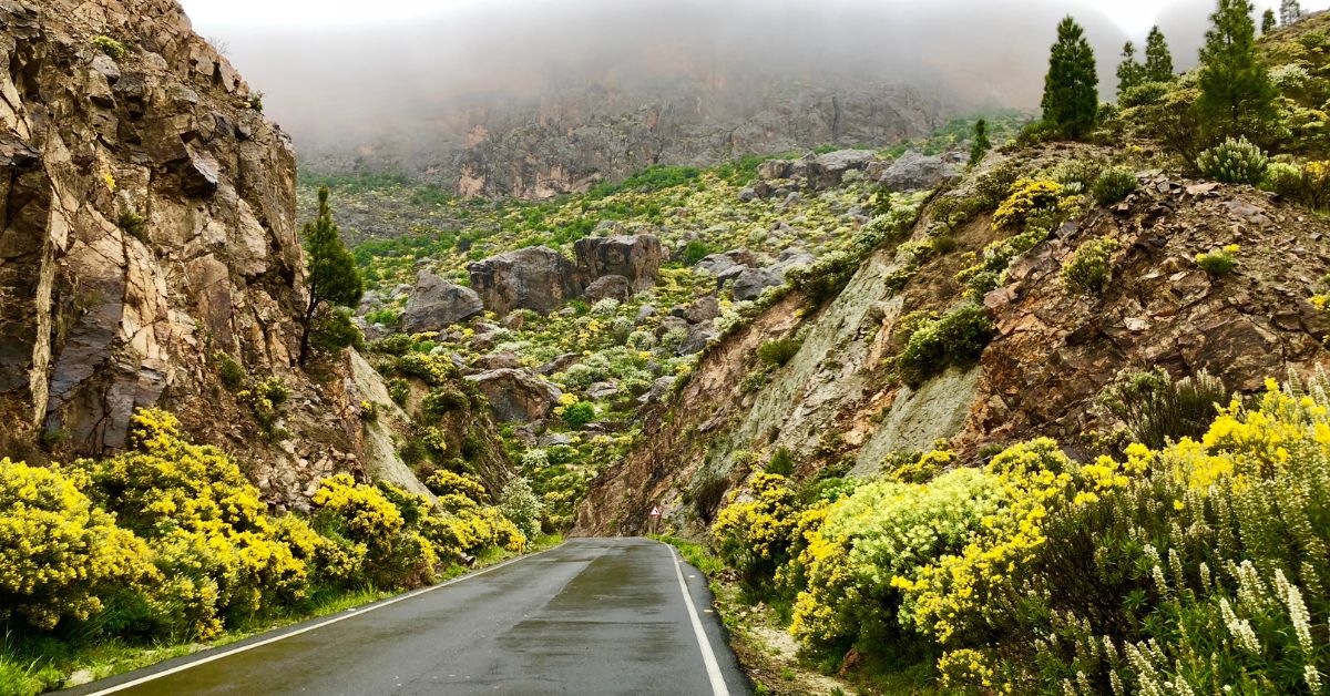 Carretera Montañosa en Gran Canarias