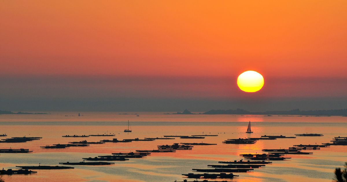 Atardecer con bateas en Ría de Arousa Galicia