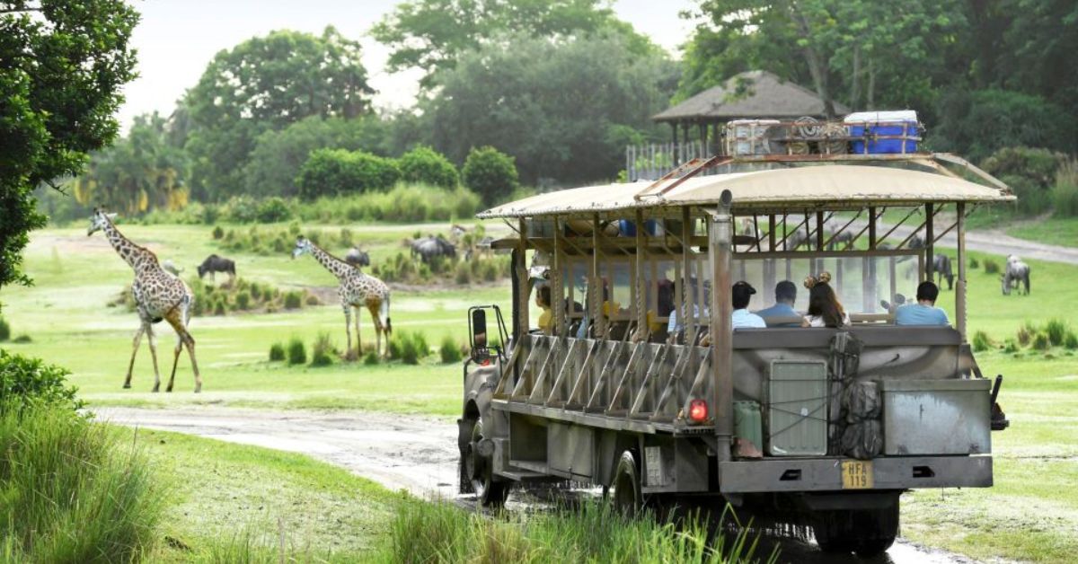 Parque Magic Kingdom Orlando