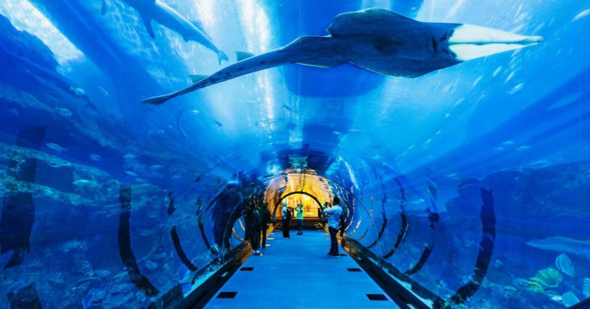 Acuario en Dubái