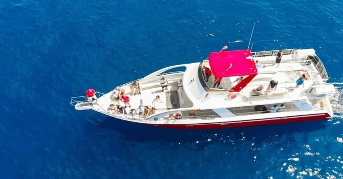 Crucero en Yate Ecológico_ Los Cristianos, Tenerife