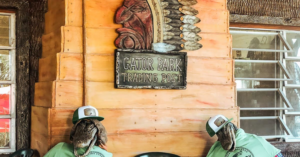 Gator Park en Parque Nacional Everglades, Florida