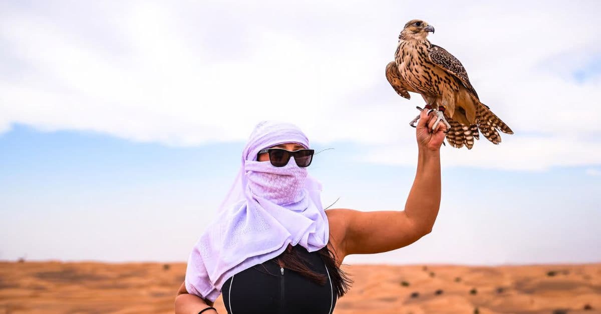 Mujer turista toma un ave en su mano en safari en Dubái, EAU